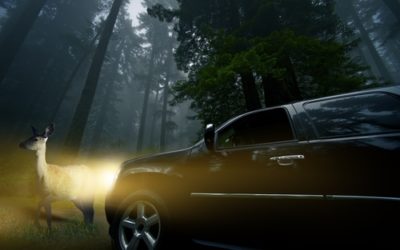 A Faulty Headlight Switch is a Driving Hazard