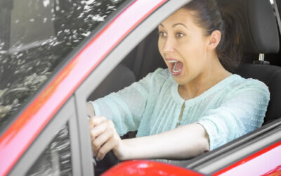 Regular Brake Inspection Can Save a Life