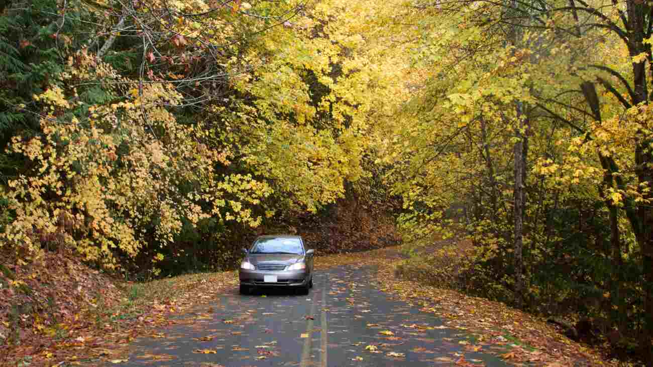 Preparing your car for autumn: essential maintenance tips