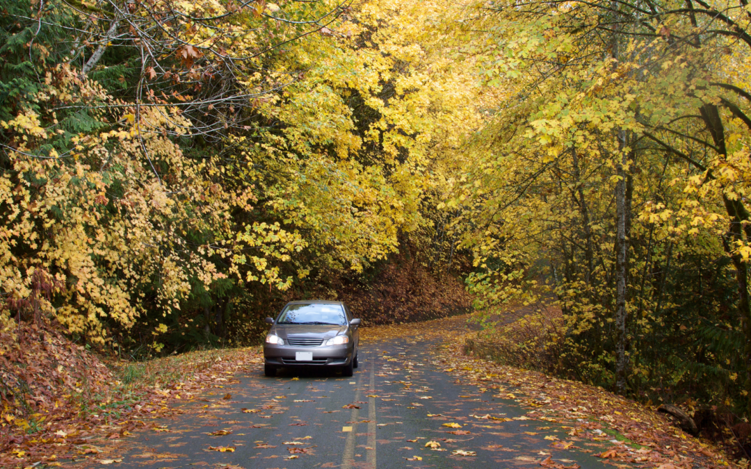 Preparing your car for autumn: essential maintenance tips