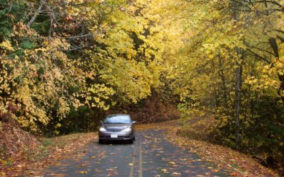 How Seasonal Changes Affect Your Car More Than You Think