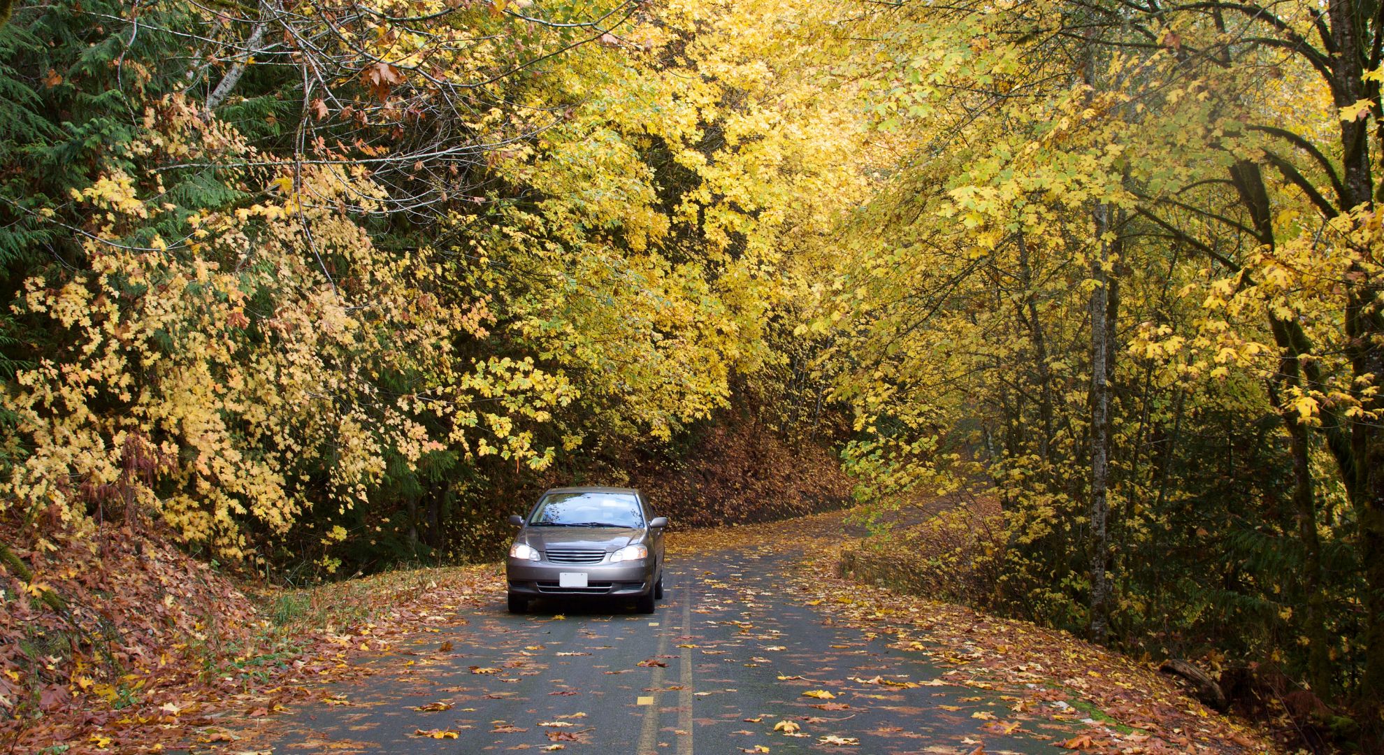 How Seasonal Changes Affect Your Car More Than You Think