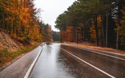 Autumn roads are sneaky: Why wet leaves are as dangerous as ice