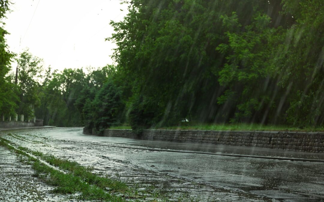 Fall Car Care Checklist: Get Ready for the Rain and Cold